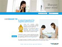 Tablet Screenshot of cereboost.com